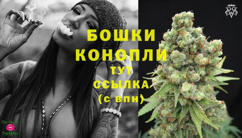 Конопля SATIVA & INDICA  купить   Берёзовский 